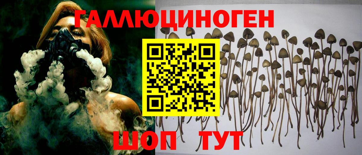 что такое наркотик  Вход с VPN  Королёв  Псилоцибиновые грибы ЛСД  Псилоцибиновые грибы ЛСД 