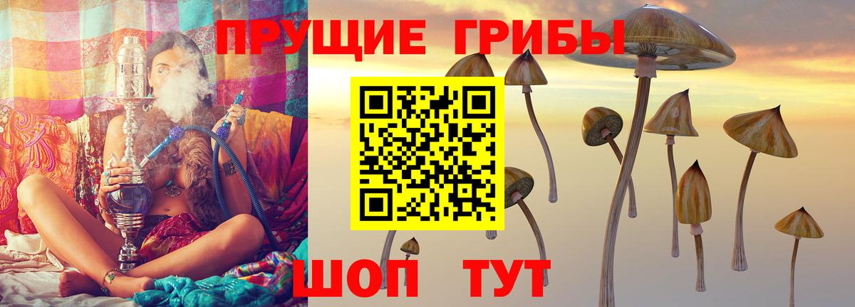 Псилоцибиновые грибы мухоморы Королёв